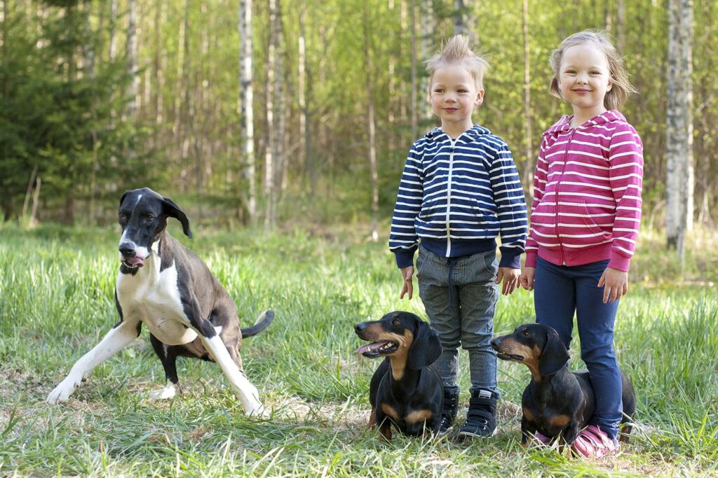Vauhdikkaita hetkiä lapsien ja koirien kuvauksessa